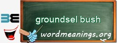 WordMeaning blackboard for groundsel bush